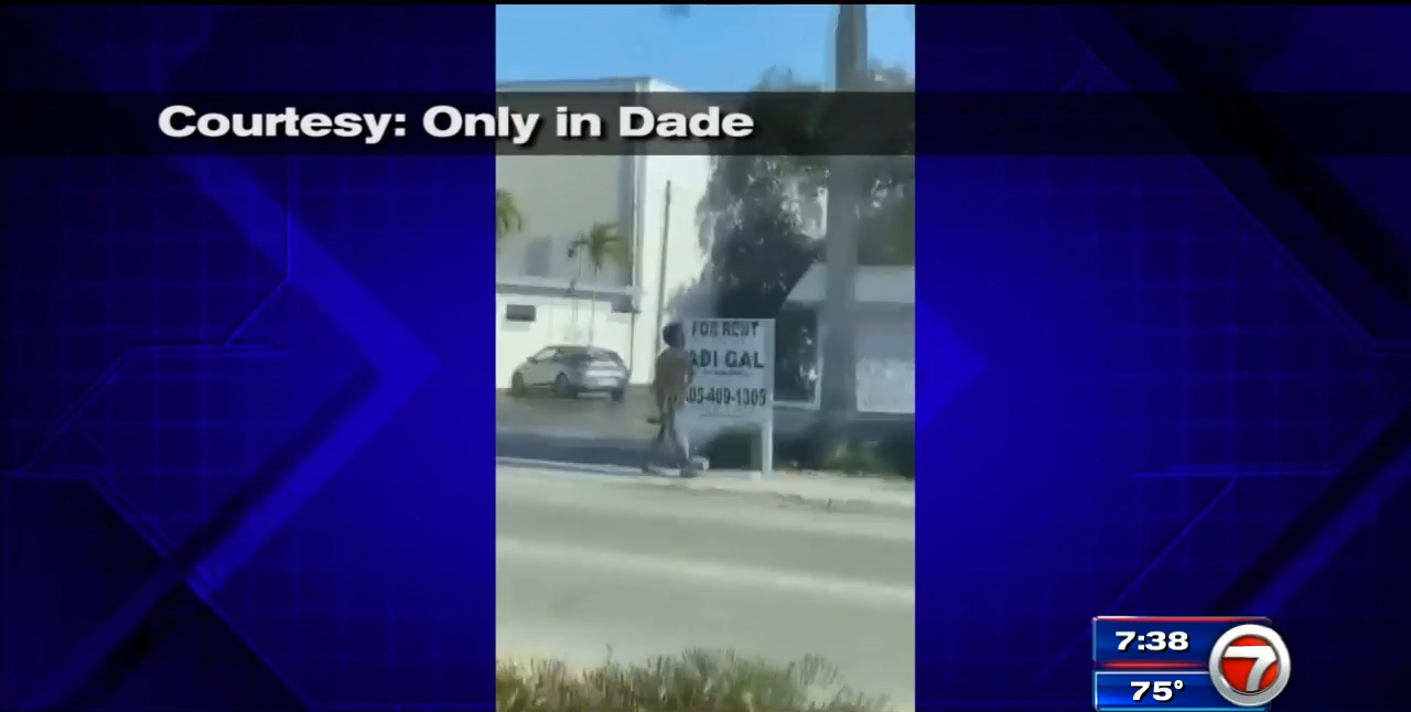 Police take armed driver into custody after crash in Miramar - WSVN ...