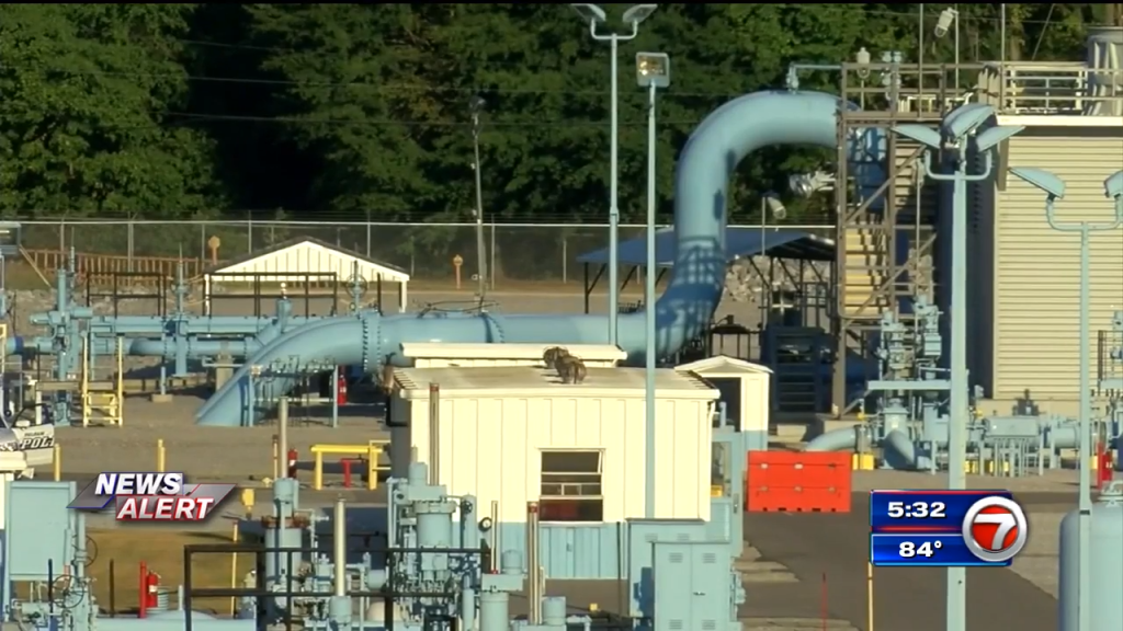 Colonial Pipeline launches restart after sixday shutdown WSVN 7News