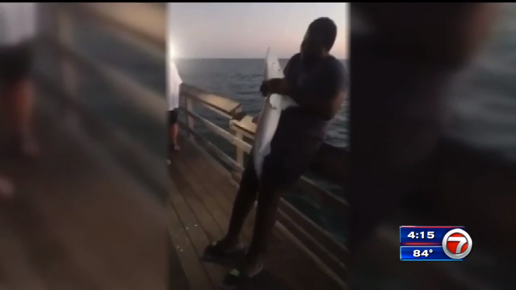 Fisherman speaks out on bad shark throw at Naples pier - WSVN 7News | Miami News, Weather, Sports | Fort Lauderdale