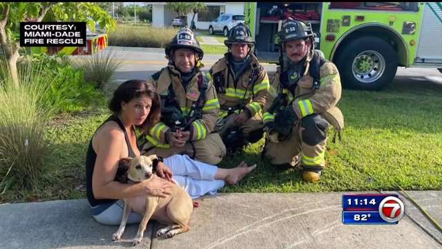 Crews pull dog from burning SW Miami-Dade home - WSVN 7News | Miami ...
