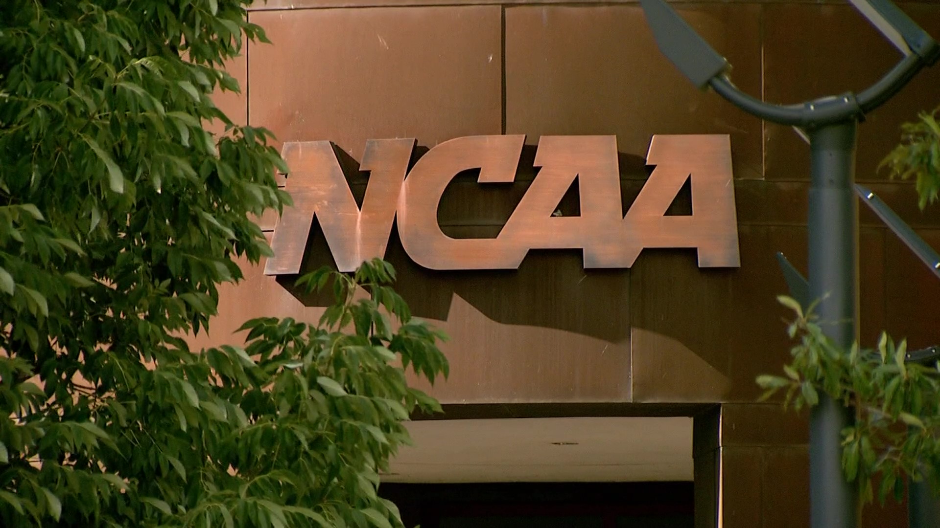 NCAA won’t allow athletes or athletic department staff to bet on pro sports amid gambling scandals – WSVN 7News | Miami News, Weather, Sports | Fort Lauderdale