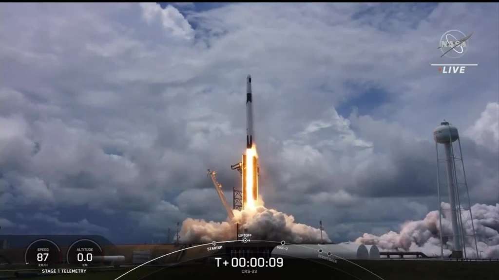 SpaceX launches tiny critters, solar panels to space station – WSVN