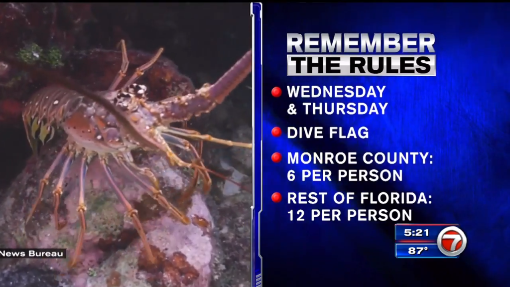 Florida Keys News Bureau releases rules for divers catching lobsters