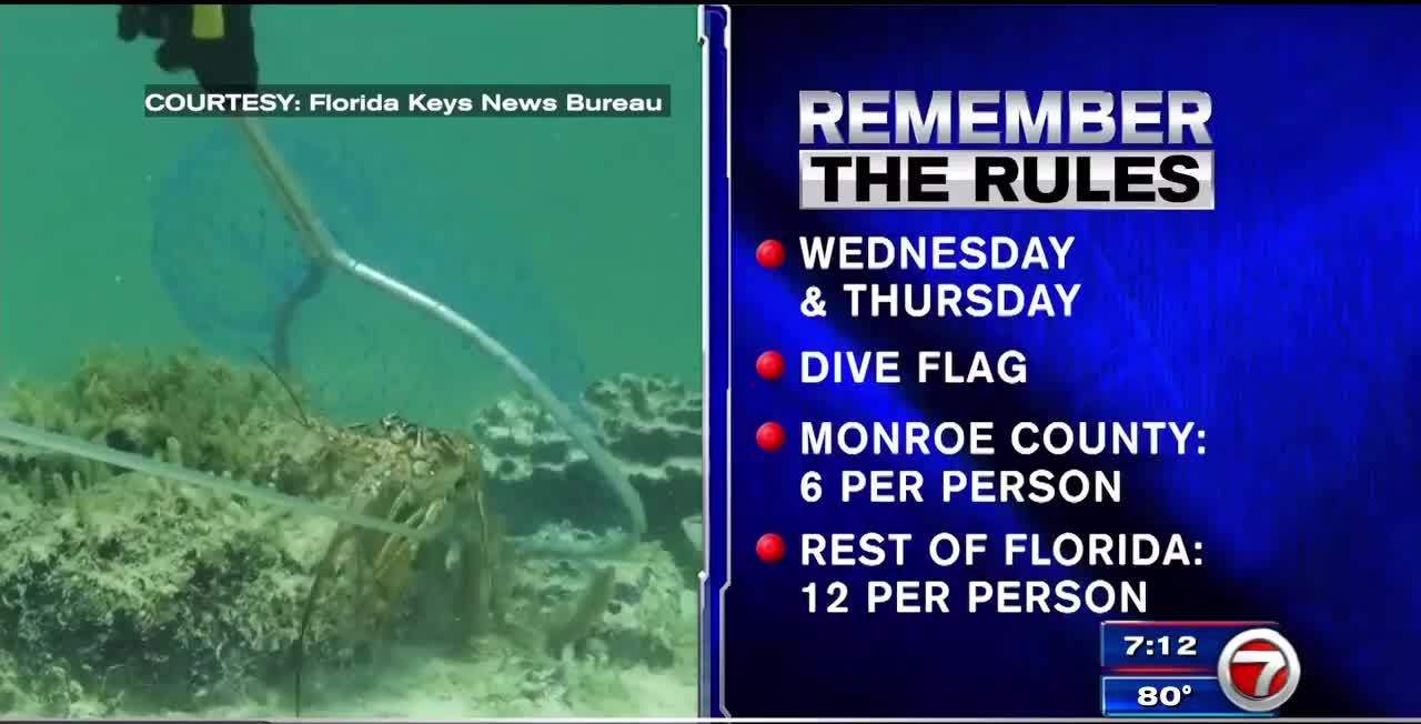 3 men die while diving during lobster miniseason WSVN 7News Miami