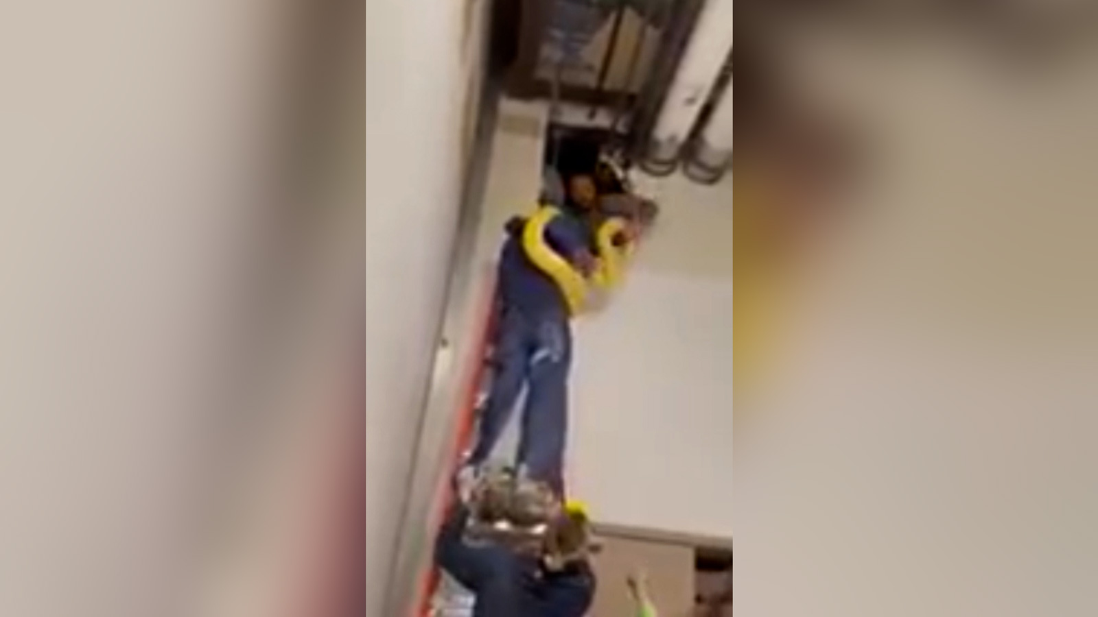 A 12-foot Burmese python missing from a mall aquarium has been found ...