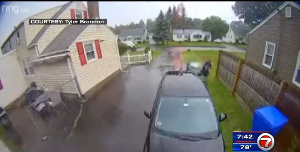 Video captures lightning strike near Massachusetts man pulling trash