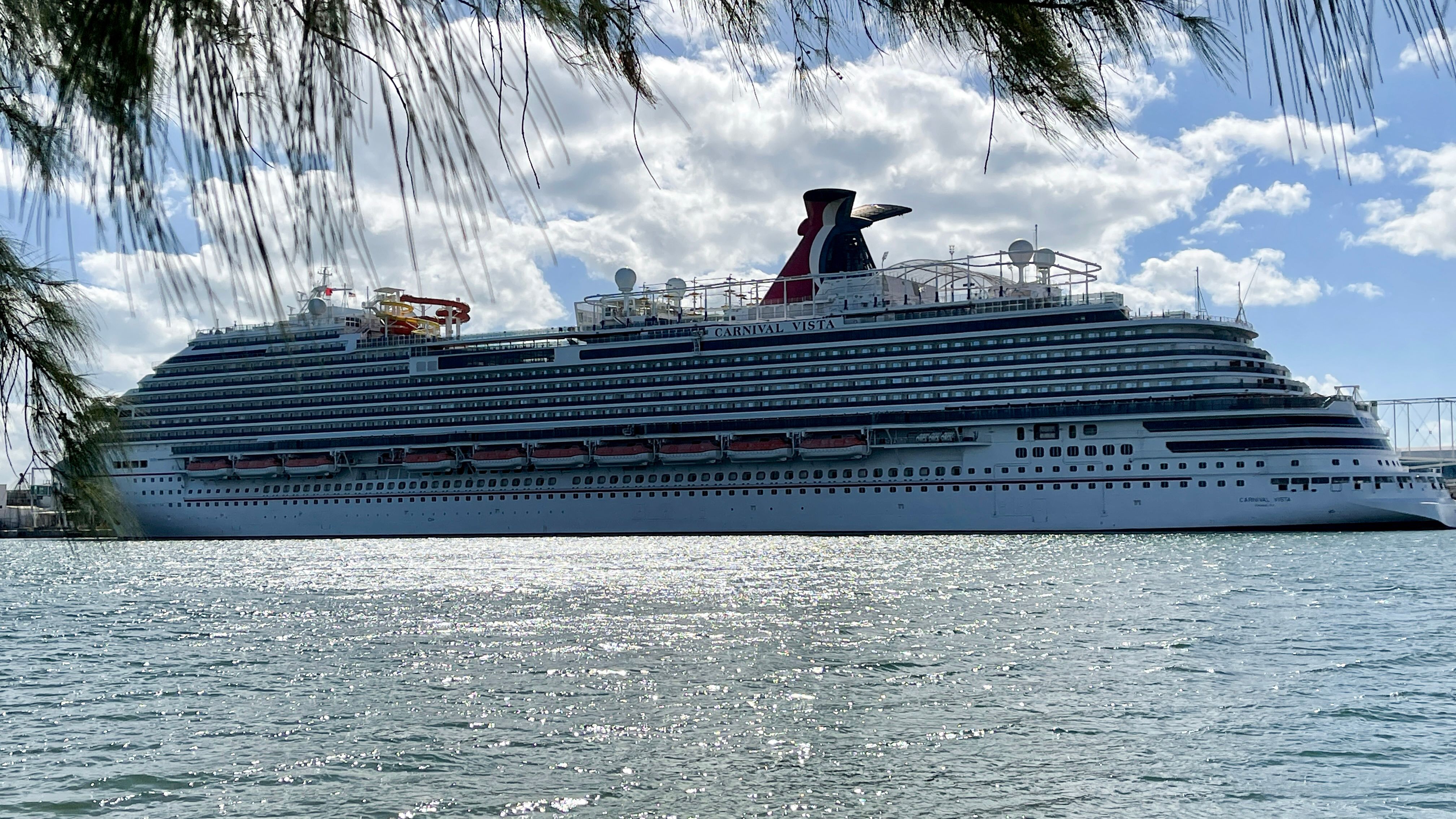 carnival cruise covid policy
