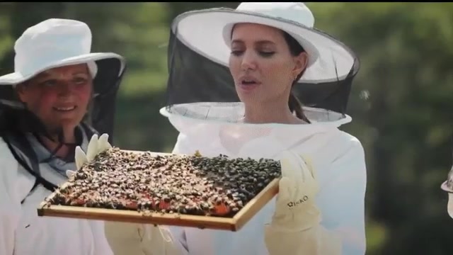 Photo of Angelina Jolie parle du programme « Women for Bees » en France – WSVN 7News |  Actualités de Miami, météo, sports