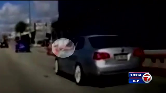 Car vandalism caught on camera - WSVN 7News, Miami News, Weather, Sports