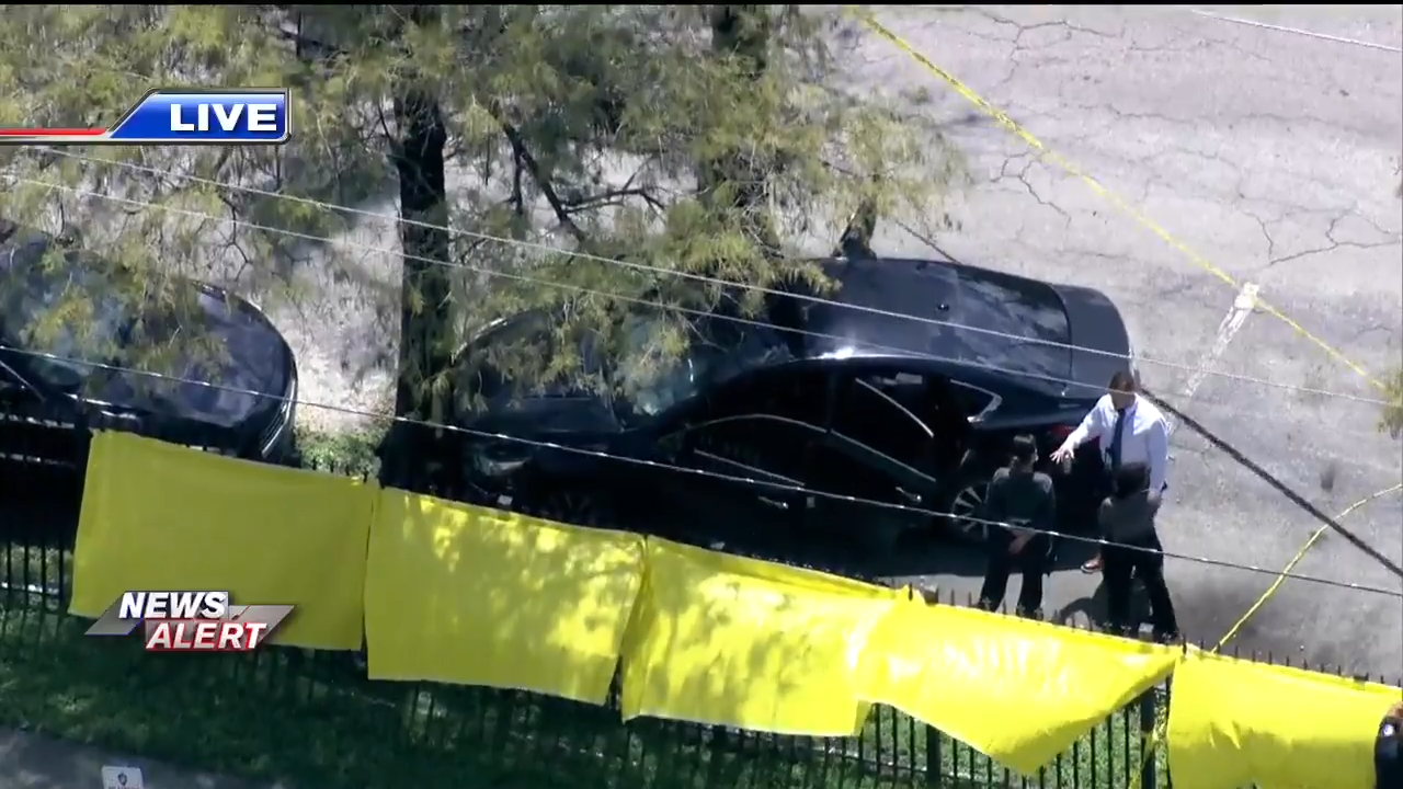 Driver found with fatal gunshot wound after car crashes into tree in ...