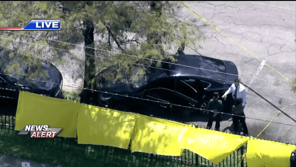 Driver found with fatal gunshot wound after car crashes into tree in ...