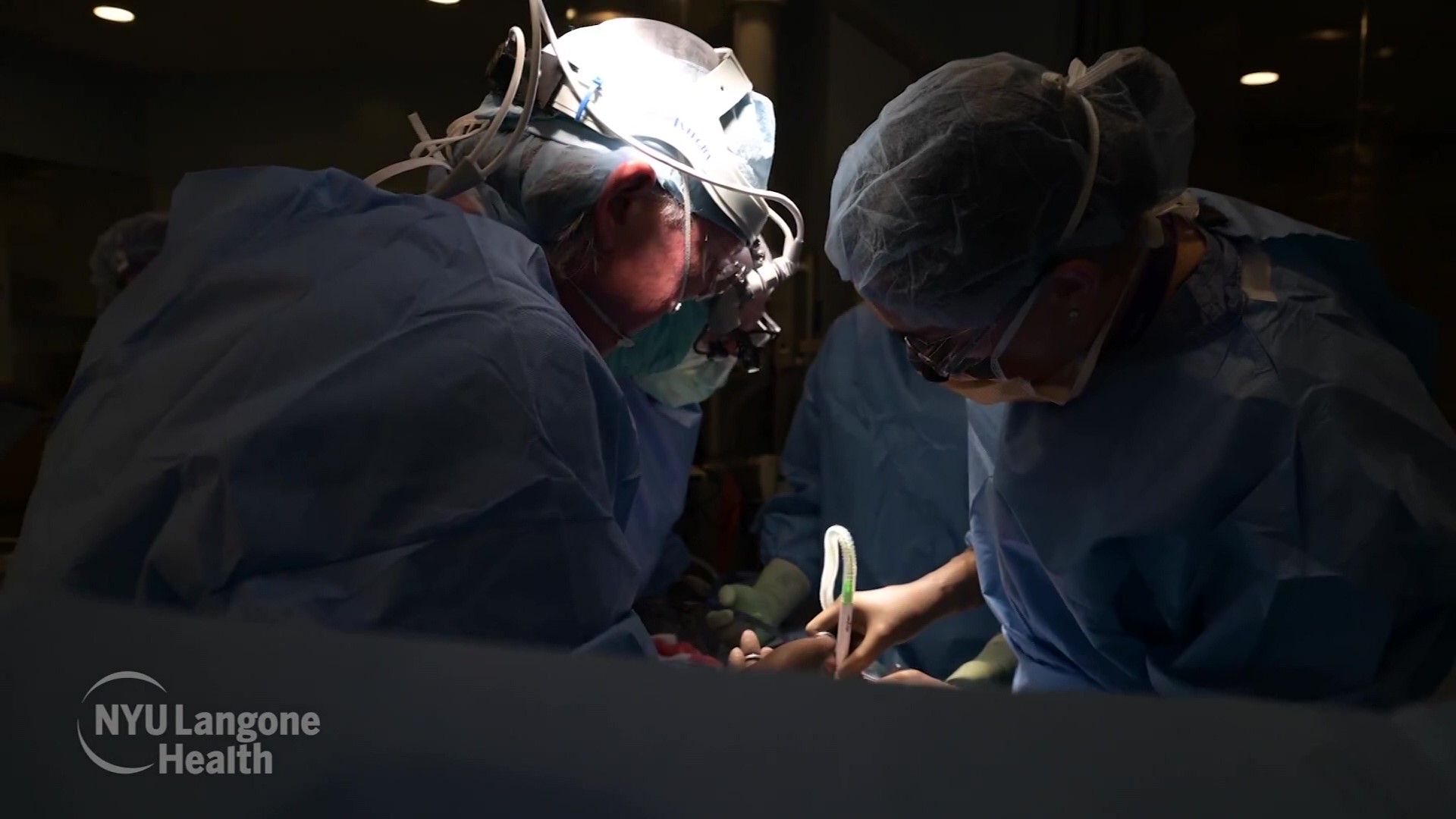 Scientists temporarily attach pig’s kidney to human body, watched organ