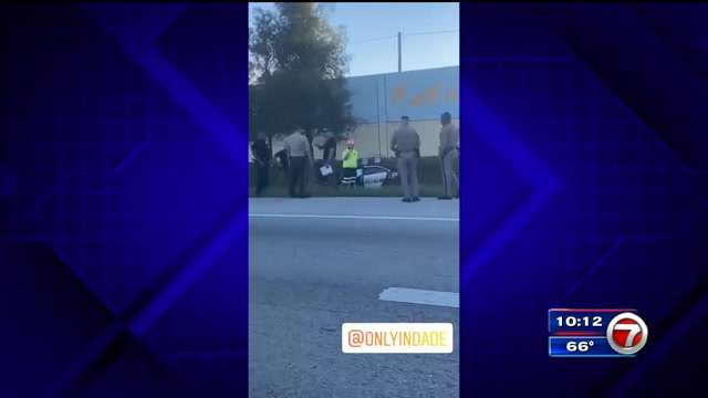 Miami Beach Police officer OK after crashing into tree on Turnpike in ...
