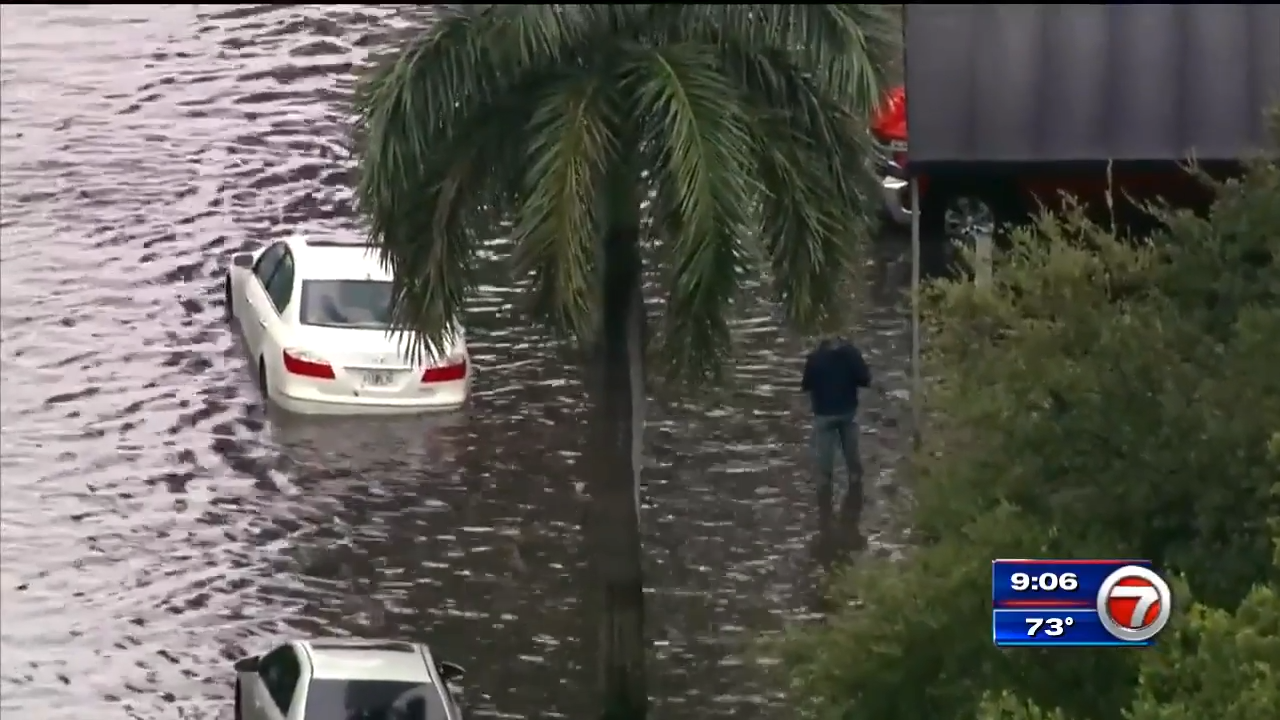 Heavy rains bring flooding to South Florida neighborhoods WSVN 7News