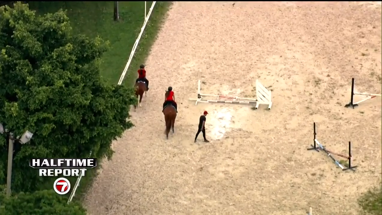 Girl hospitalized after falling off a horse in Southwest Miami-Dade ...