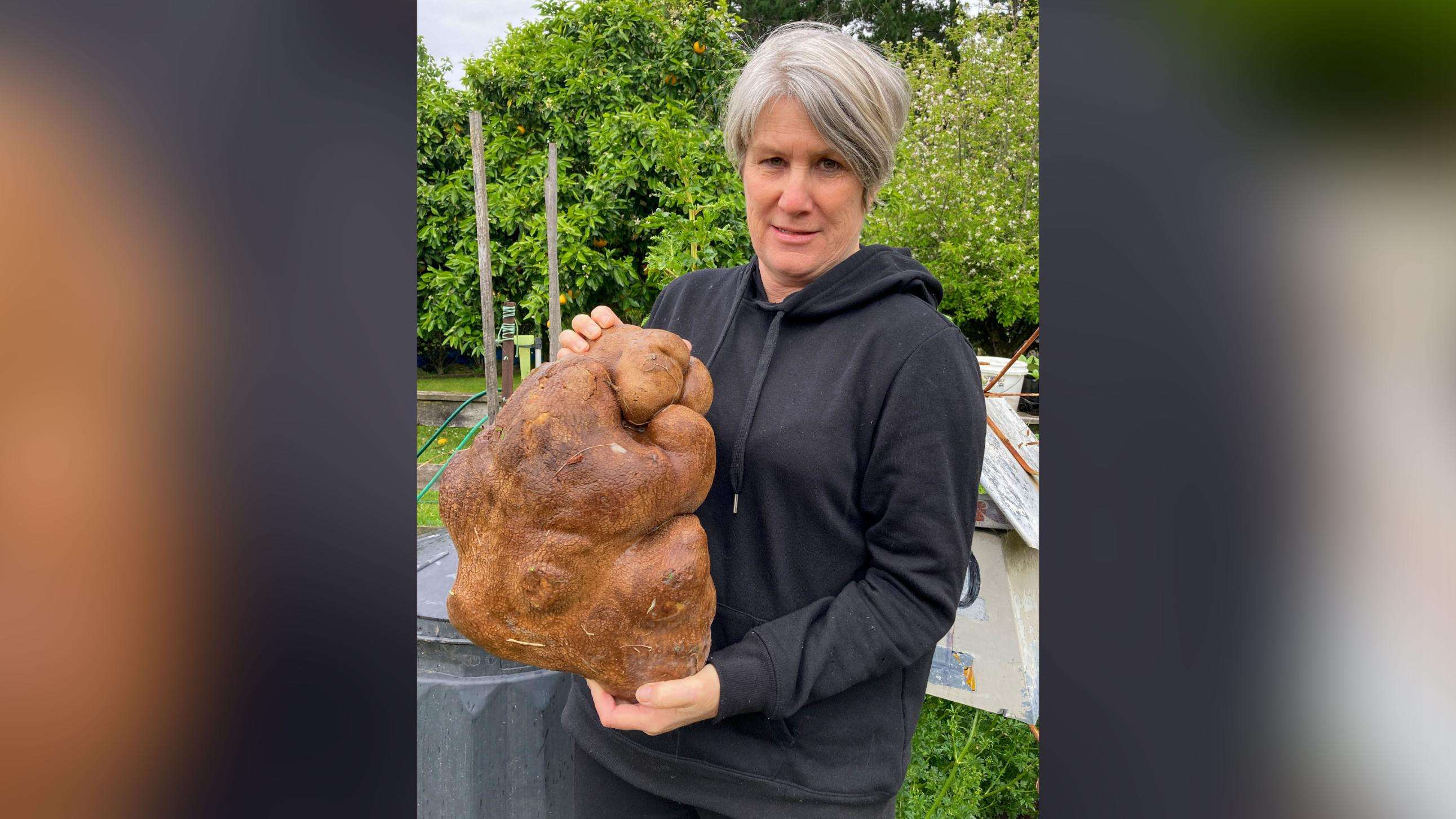 New Zealand Couple Accidentally Grows What Might Be World s Largest new-zealand-couple-accidentally-grows-what-might-be-world-s-largest