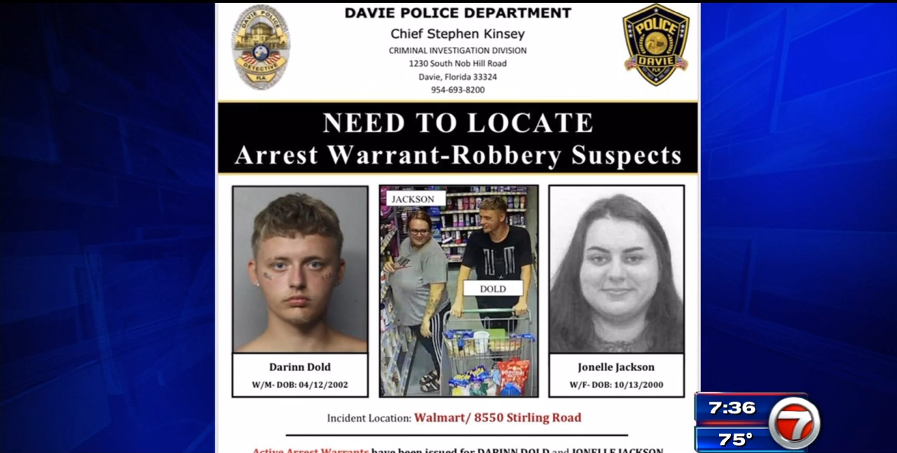 Police search for pair of purse snatchers who targetted elderly victim ...