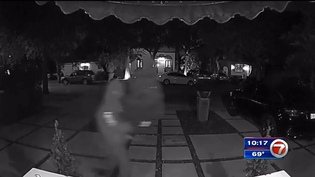 Video pengawasan menunjukkan pencuri mencuri pohon Natal dari rumah Coral Gables – WSVN 7News |  Berita Miami, Cuaca, Olahraga