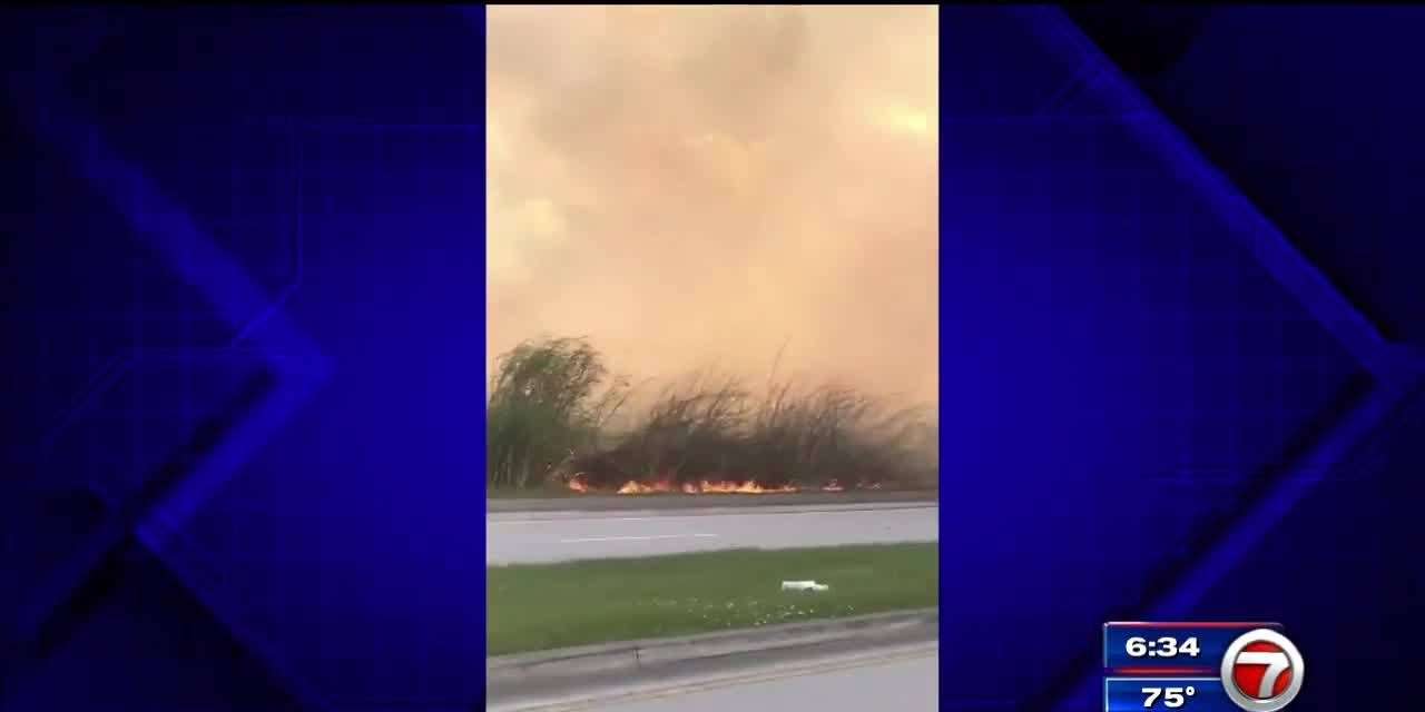 Firefighters put out grass fire in SW Miami-Dade - WSVN 7News | Miami ...