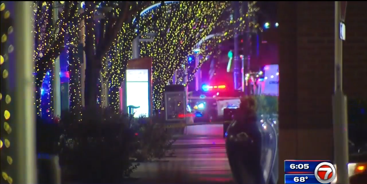 Police 5 killed, including gunman, in Denver area shootings WSVN