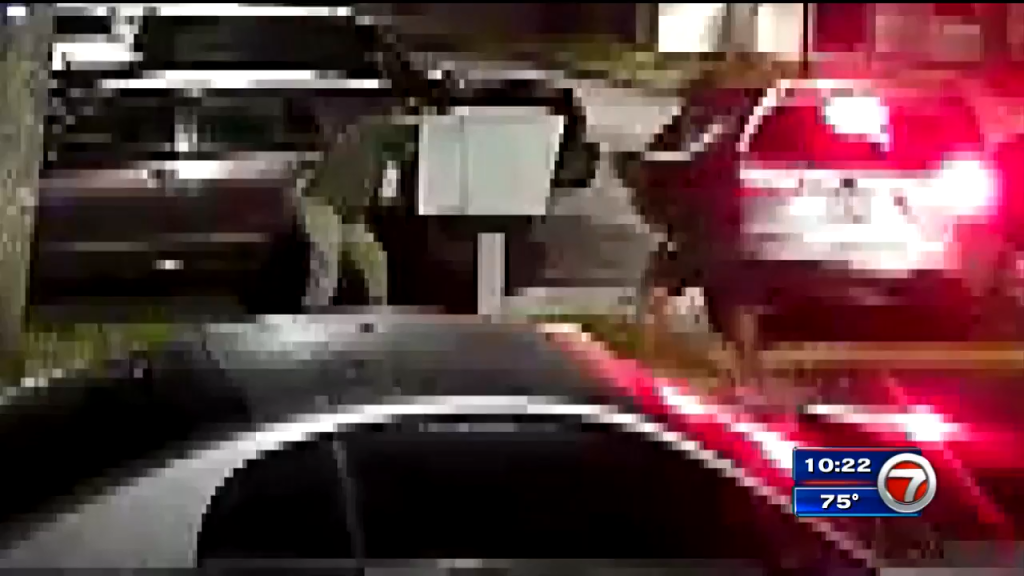 Crooks caught on camera looting mail in Southwest MiamiDade