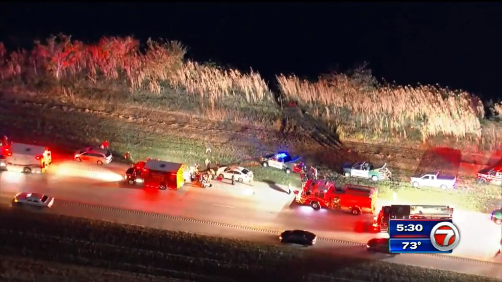 911 calls released from Alligator Alley crash that killed 2, injured 3