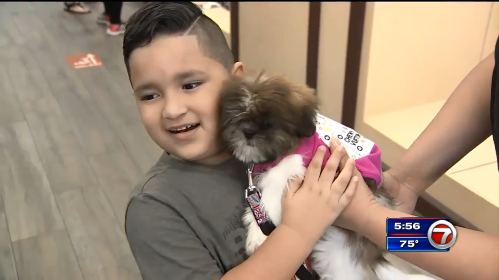 SW Miami-Dade mother, children gifted ‘paw-some’ Shih Tzu puppy right before Christmas – WSVN 7News | Miami News, Weather, Sports