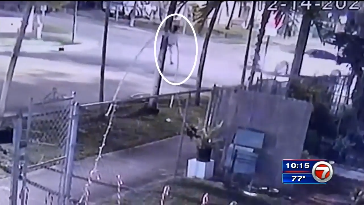 Elderly woman hospitalized after hit-and-run in Miami - WSVN 7News ...