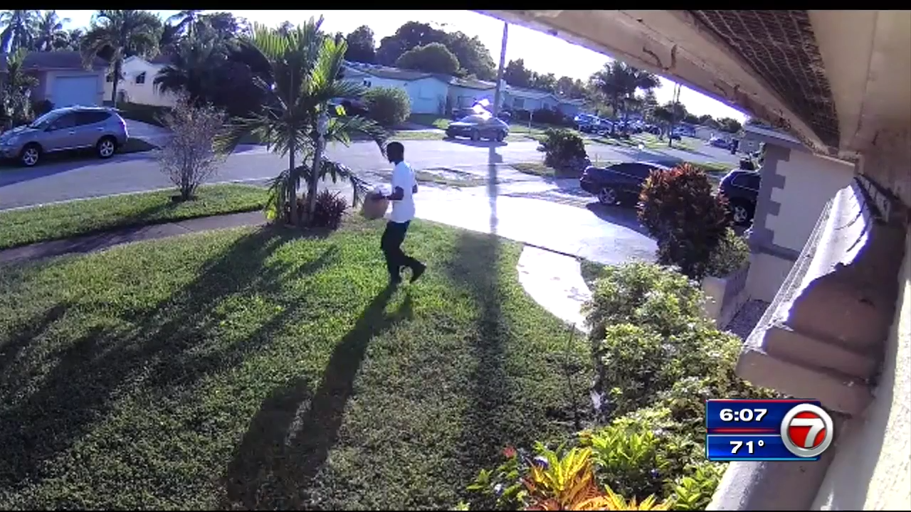 Package thief caught on camera at Lauderdale Lakes home - WSVN 7News ...