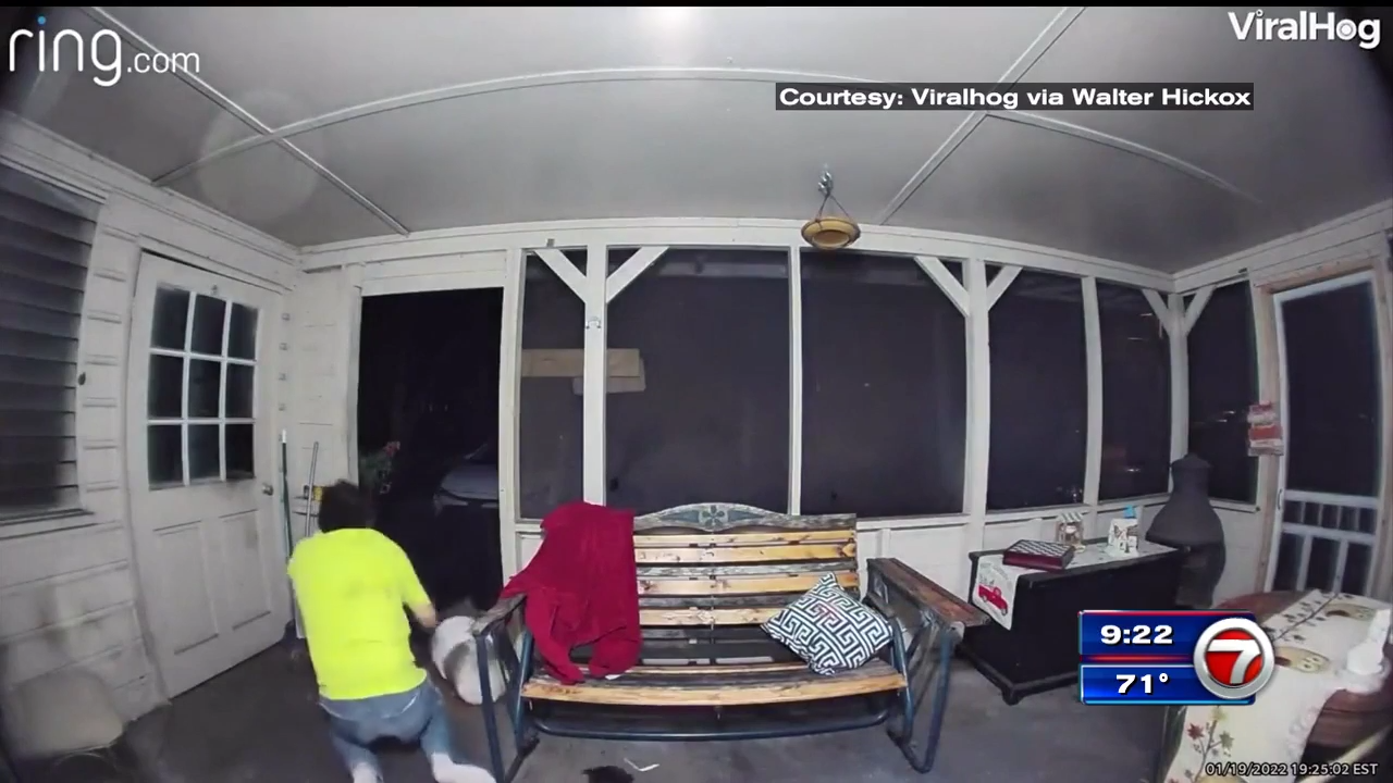 Man fights off bear that entered Daytona Beach porch; 2nd attack in a week  in Volusia County – WSVN 7News | Miami News, Weather, Sports | Fort  Lauderdale