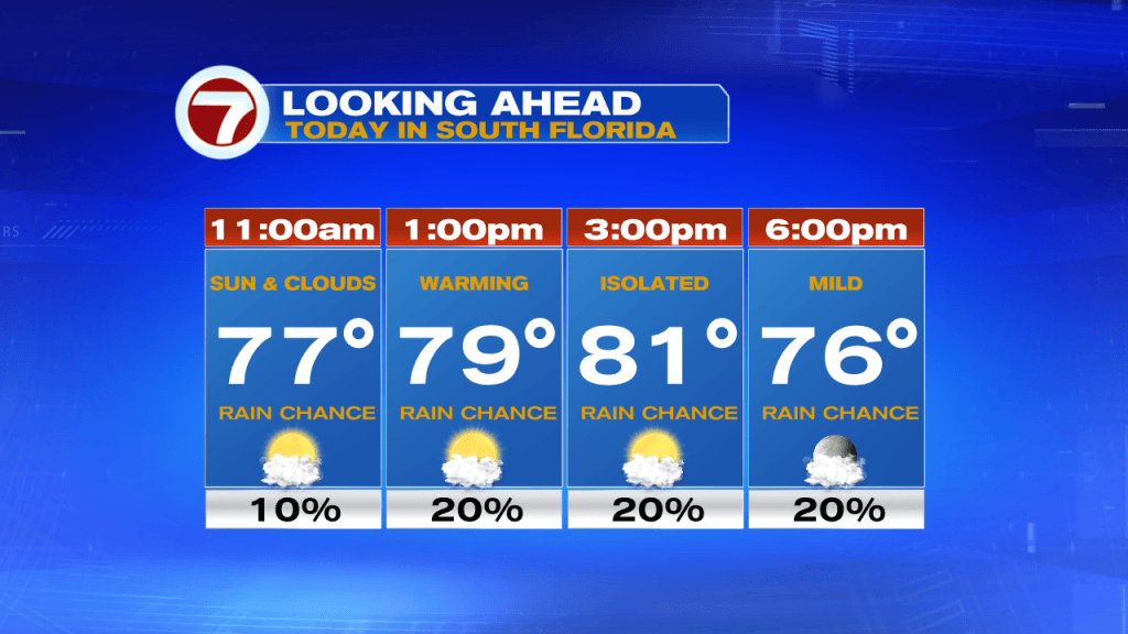 SUNDAY STALL - WSVN 7News | Miami News, Weather, Sports | Fort Lauderdale