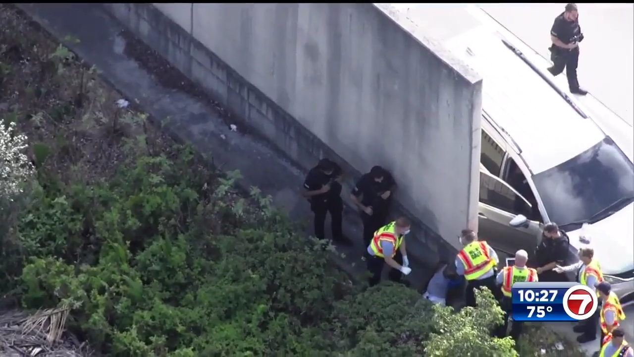 Man spotted in stolen car on I-95 taken into custody after foot chase ...