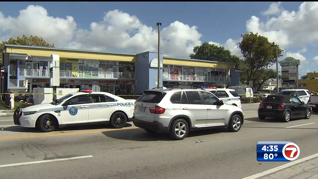 Elderly woman dies after being hit by car in Miami - WSVN 7News | Miami ...