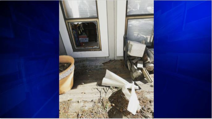 Hank the Tank,' a 500-pound bear, has broken into two more ...