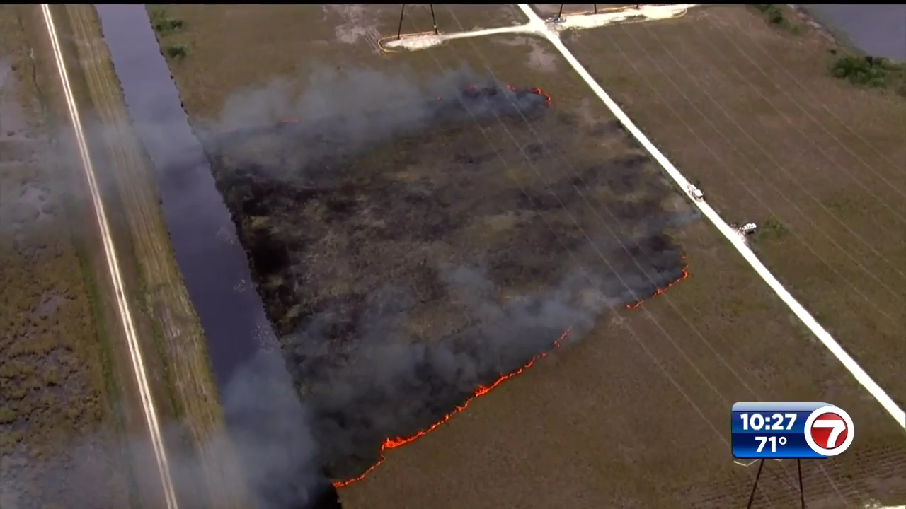 Authorities put out brush fire in West Broward - WSVN 7News | Miami ...