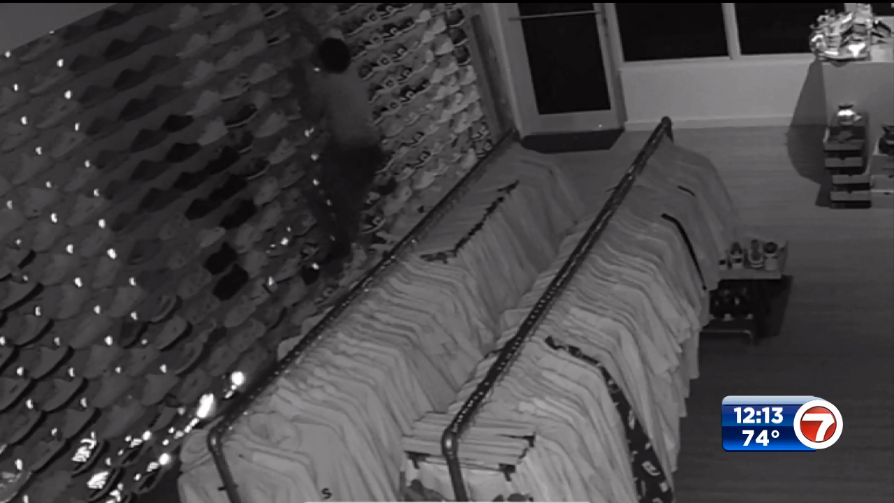 Thief caught on camera burglarizing Miami shoe store, leaves with 20 left sneakers