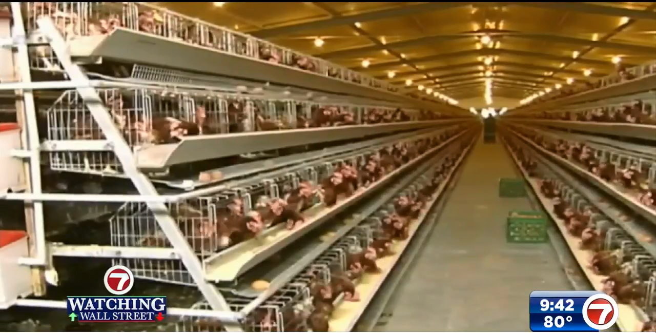 2 bird flu cases confirmed in US zoos as virus spreads WSVN 7News