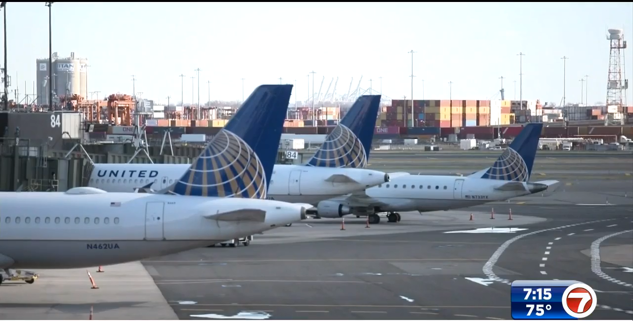 United Airlines flight returns to Chicago after bird strike WSVN