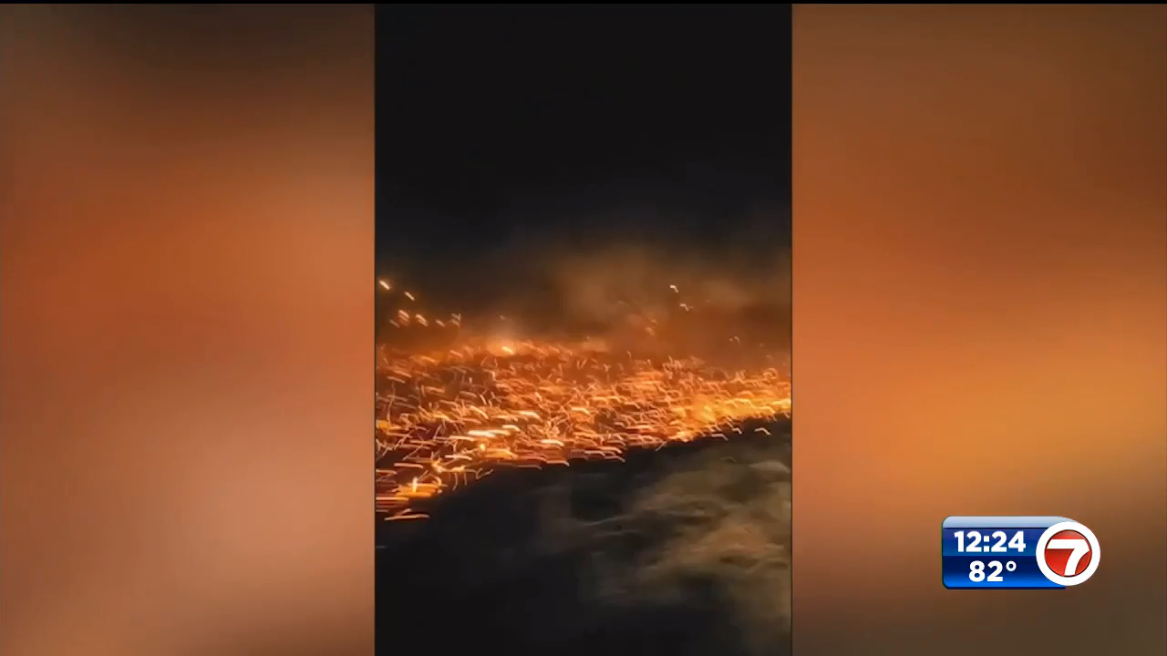 Emergency declaration for multiple wildfires in New Mexico - WSVN 7News ...