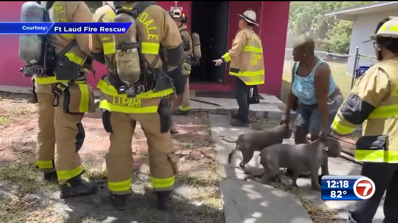 Fort Lauderdale fire rescue pets displaced families 2026 Redefining Displacement Support and Recovery