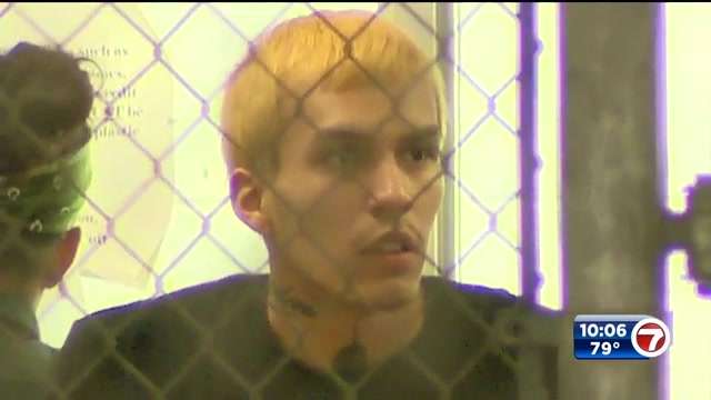 Man arrested in connection to fatal shooting of dog in kennel area of ...