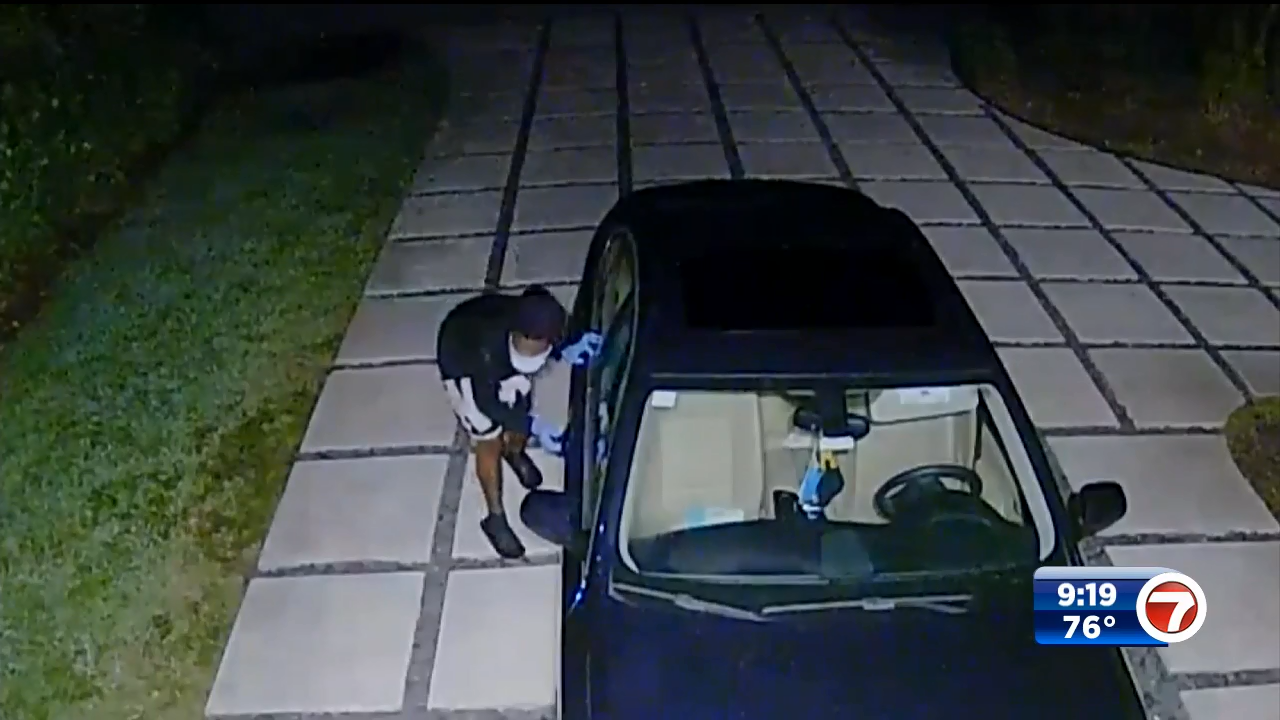 Repeat burglars caught on video breaking into luxury cars in South ...