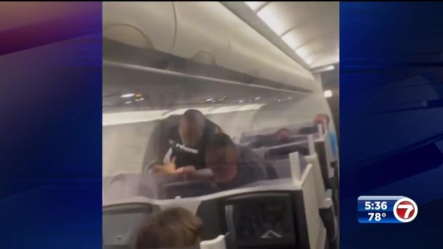 Video shows Mike Tyson punching airline passenger