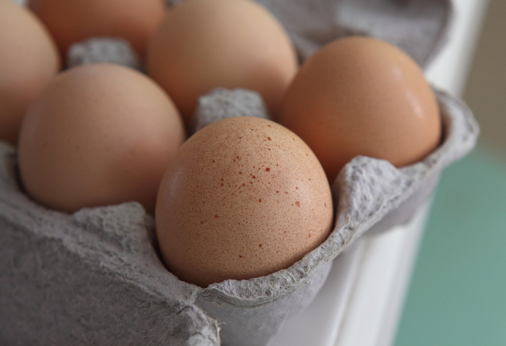 Deadly avian flu sends egg prices soaring WSVN 7News Miami News