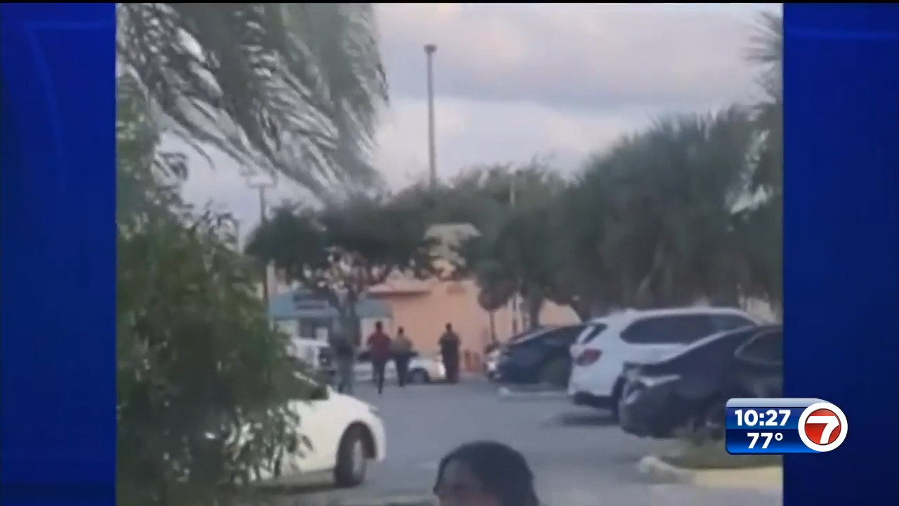 Man flees police while in cuffs after crashing car into police cruiser ...