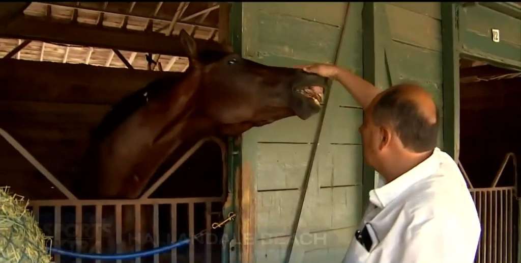 Broward County horse trainer faced major hardships before moving to Weston