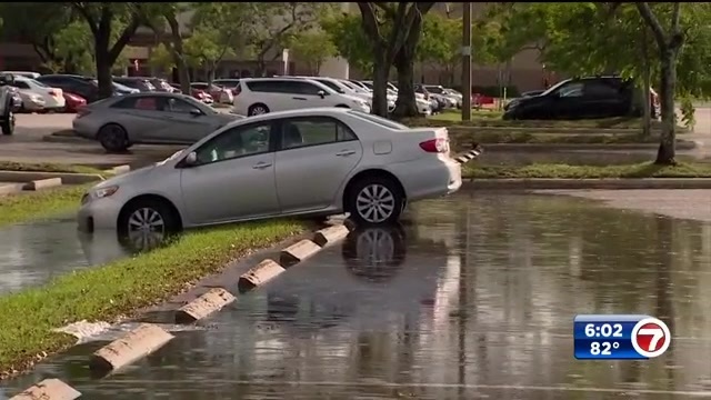Storms topple tree in Sunrise, flood Sawgrass Mills Mall parking lot, lead  to traffic backups - WSVN 7News, Miami News, Weather, Sports