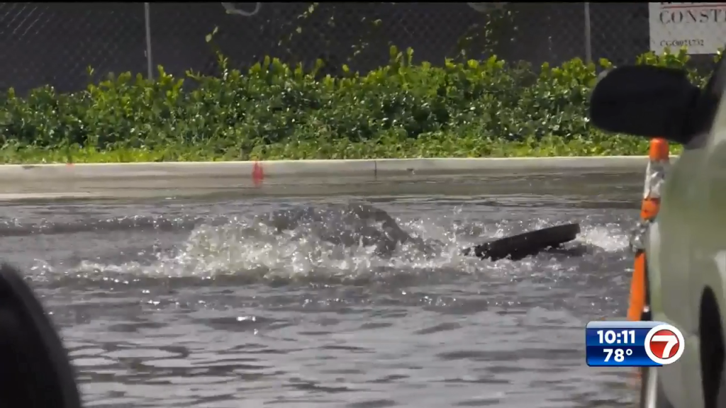 Gallons of raw sewage spill into Miami River due to downpours WSVN