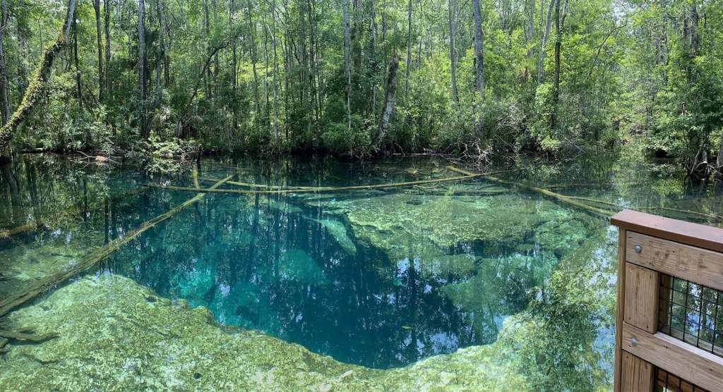 authorities-in-florida-are-investigating-the-deaths-of-2-cave-divers