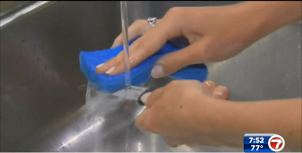 A sponge may not be the most hygienic way to clean dishes, study